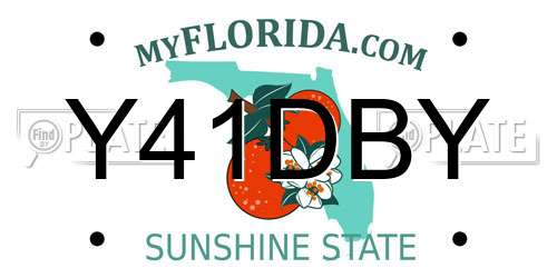 Y41DBY Florida License Plate