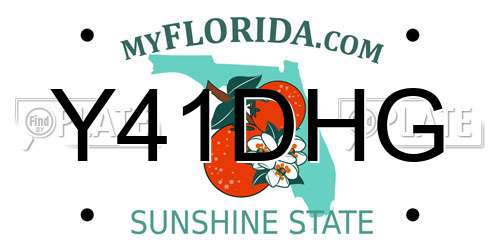 Y41DHG Florida License Plate
