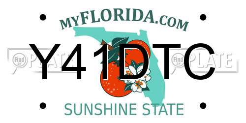 Y41DTC Florida License Plate