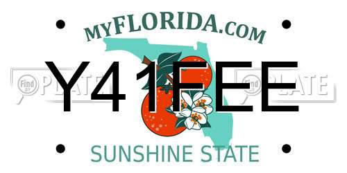 Y41FEE Florida License Plate