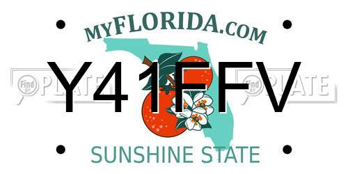 Y41FFV Florida License Plate