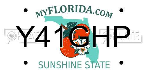 Y41GHP Florida License Plate