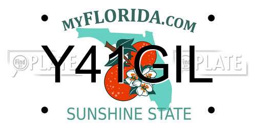 Y41GIL Florida License Plate