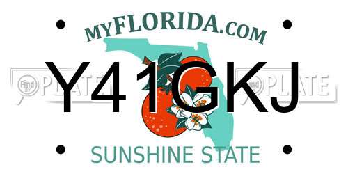 Y41GKJ Florida License Plate