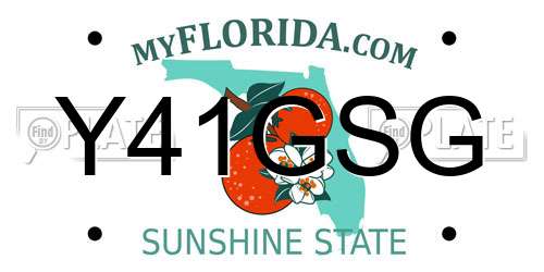 Y41GSG Florida License Plate