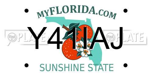 Y41IAJ Florida License Plate