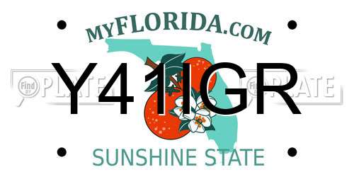 Y41IGR Florida License Plate