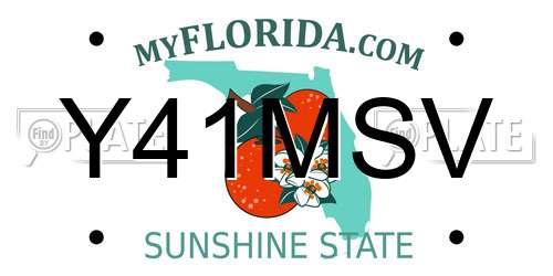 Y41MSV Florida License Plate