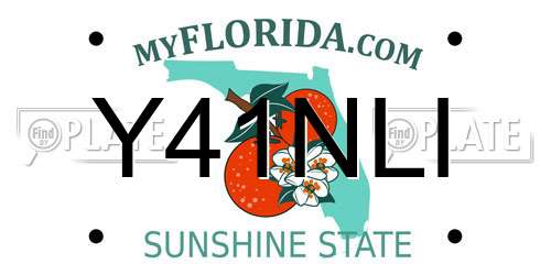 Y41NLI Florida License Plate