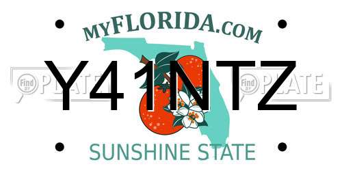 Y41NTZ Florida License Plate