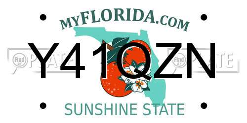 Y41QZN Florida License Plate