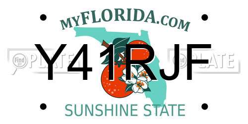 Y41RJF Florida License Plate