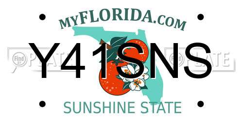 Y41SNS Florida License Plate