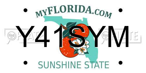 Y41SYM Florida License Plate