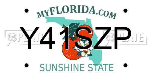 Y41SZP Florida License Plate