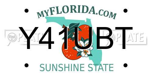 Y41UBT Florida License Plate