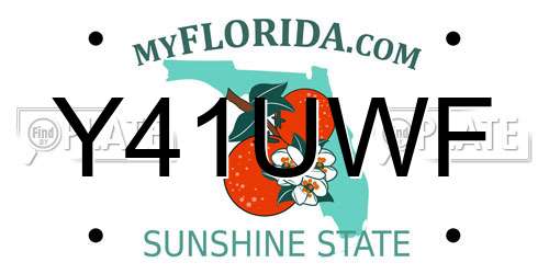 Y41UWF Florida License Plate