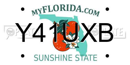 Y41UXB Florida License Plate