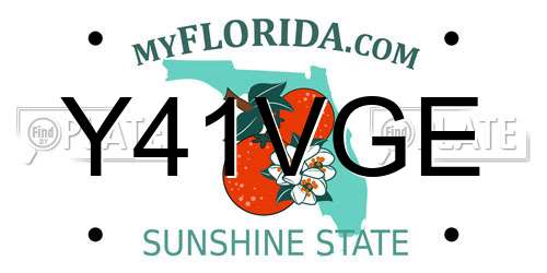 Y41VGE Florida License Plate