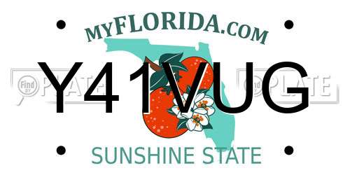 Y41VUG Florida License Plate