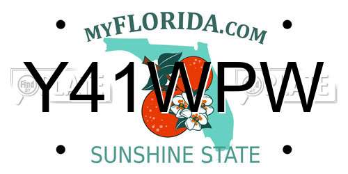 Y41WPW Florida License Plate