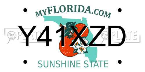 Y41XZD Florida License Plate