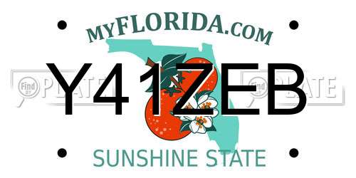 Y41ZEB Florida License Plate