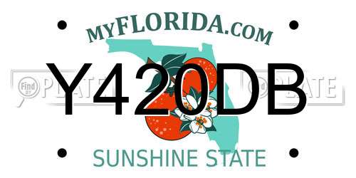 Y420DB Florida License Plate