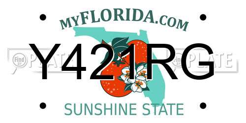 Y421RG Florida License Plate