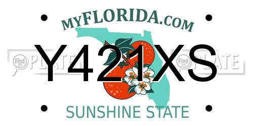 Y421XS Florida License Plate