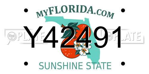 Y42491 Florida License Plate