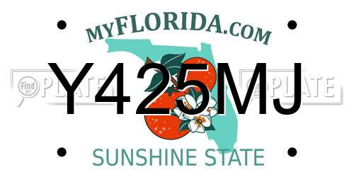Y425MJ Florida License Plate