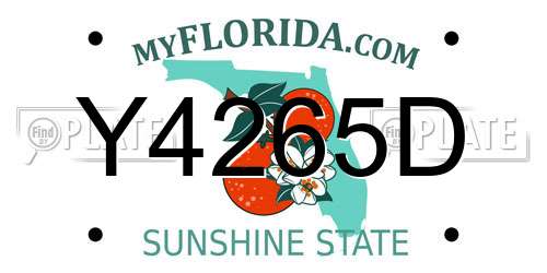 Y4265D Florida License Plate
