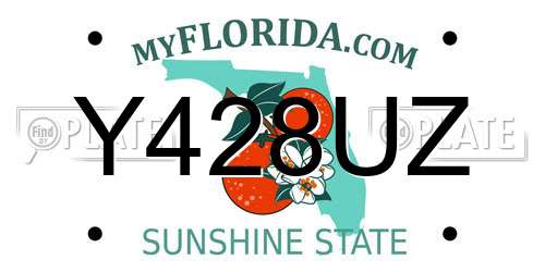 Y428UZ Florida License Plate