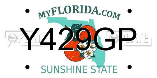 Y429GP Florida License Plate