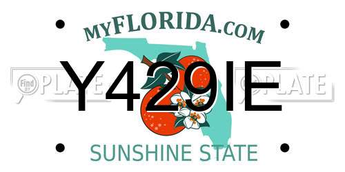 Y429IE Florida License Plate