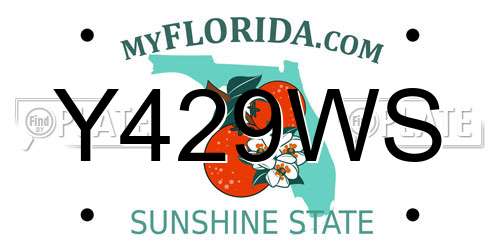 Y429WS Florida License Plate