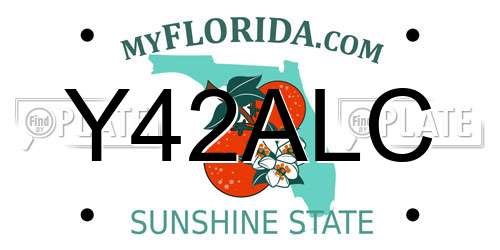 Y42ALC Florida License Plate