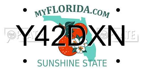 Y42DXN Florida License Plate