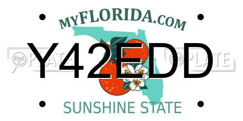 Y42EDD Florida License Plate