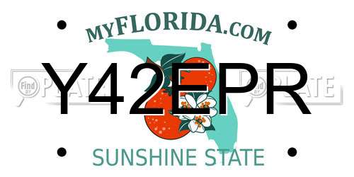 Y42EPR Florida License Plate