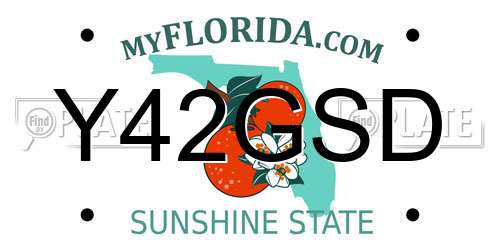 Y42GSD Florida License Plate