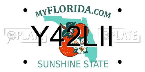 Y42LII Florida License Plate