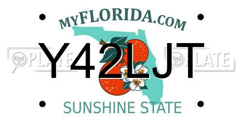 Y42LJT Florida License Plate