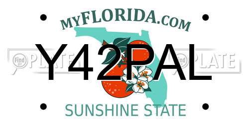 Y42PAL Florida License Plate
