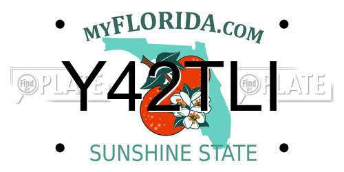 Y42TLI Florida License Plate