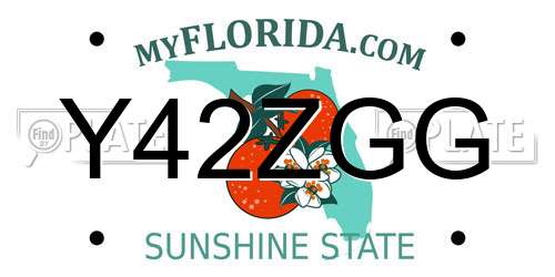 Y42ZGG Florida License Plate