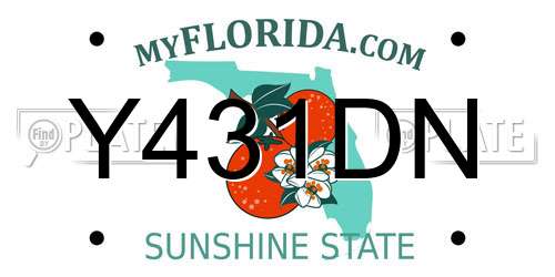 Y431DN Florida License Plate