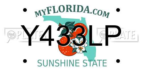 Y433LP Florida License Plate