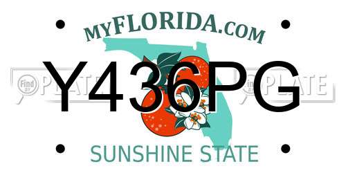 Y436PG Florida License Plate
